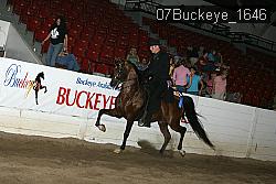 07Buckeye_1646 proof