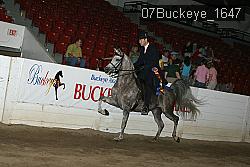 07Buckeye_1647 proof
