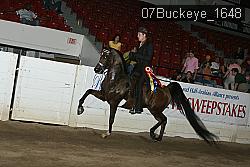 07Buckeye_1648 proof