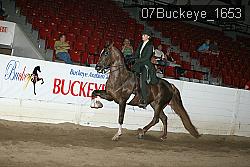 07Buckeye_1653 proof