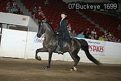 07Buckeye_1699 proof