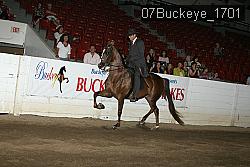 07Buckeye_1701 proof