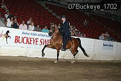 07Buckeye_1702 proof