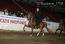 07Buckeye_1704 proof
