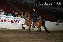 07Buckeye_1706 proof