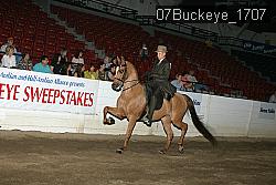 07Buckeye_1707 proof