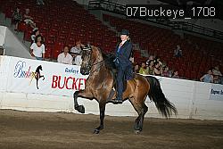 07Buckeye_1708 proof