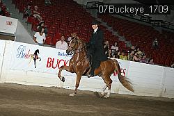07Buckeye_1709 proof