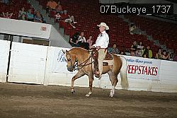 07Buckeye_1737 proof