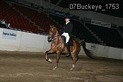 07Buckeye_1753 proof