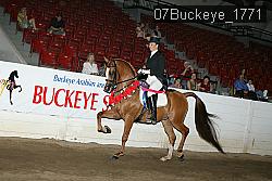07Buckeye_1771 proof