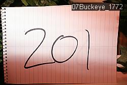 07Buckeye_1772 proof