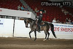 07Buckeye_1773 proof