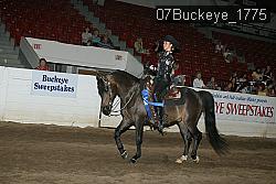 07Buckeye_1775 proof