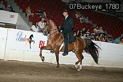07Buckeye_1780 proof