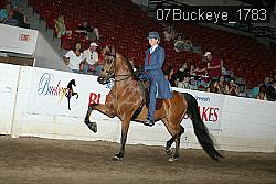 07Buckeye_1783 proof