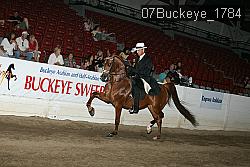 07Buckeye_1784 proof