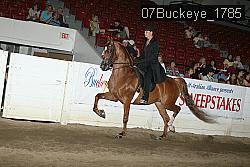 07Buckeye_1785 proof