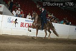07Buckeye_1786 proof