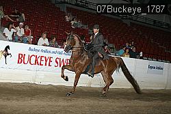 07Buckeye_1787 proof