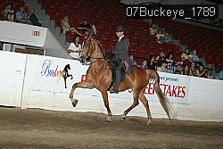 07Buckeye_1789 proof