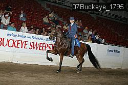 07Buckeye_1795 proof