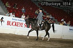 07Buckeye_1814 proof