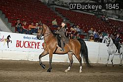 07Buckeye_1845 proof