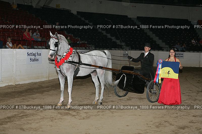 Proof 07Buckeye_1888