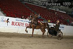 07Buckeye_1889 proof