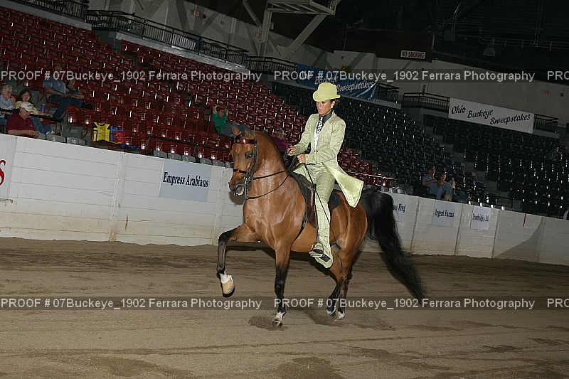 Proof 07Buckeye_1902