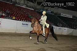 07Buckeye_1902 proof
