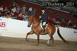 07Buckeye_2001 proof