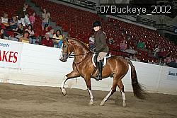 07Buckeye_2002 proof