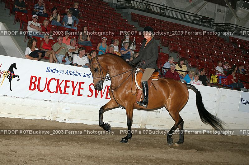Proof 07Buckeye_2003