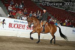 07Buckeye_2003 proof