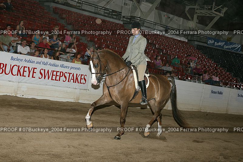 Proof 07Buckeye_2004