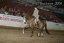 07Buckeye_2004 proof
