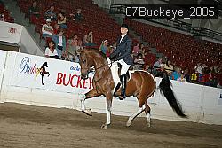 07Buckeye_2005 proof