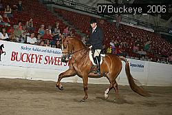 07Buckeye_2006 proof