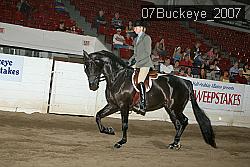 07Buckeye_2007 proof