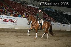 07Buckeye_2008 proof
