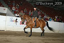 07Buckeye_2009 proof
