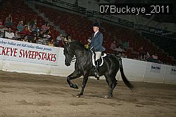 07Buckeye_2011 proof