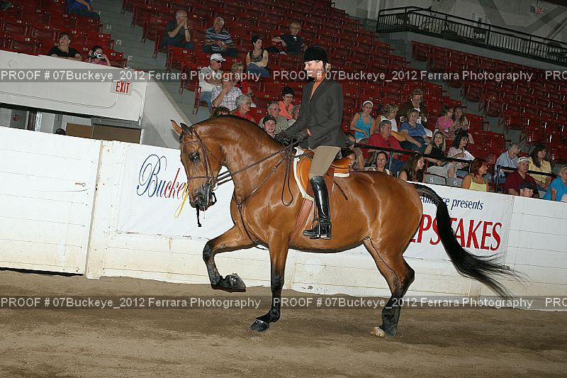 Proof 07Buckeye_2012