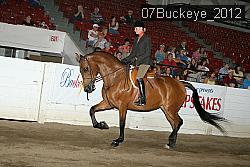 07Buckeye_2012 proof