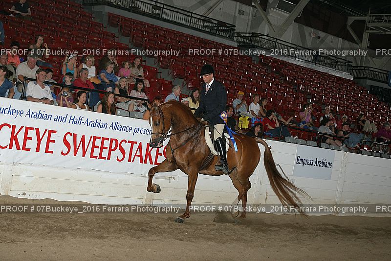 Proof 07Buckeye_2016