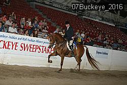 07Buckeye_2016 proof