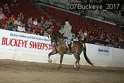 07Buckeye_2017 proof