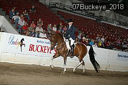 07Buckeye_2018 proof
